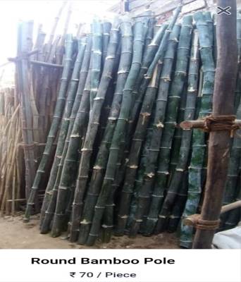 Bamboo Suppliers in Assam